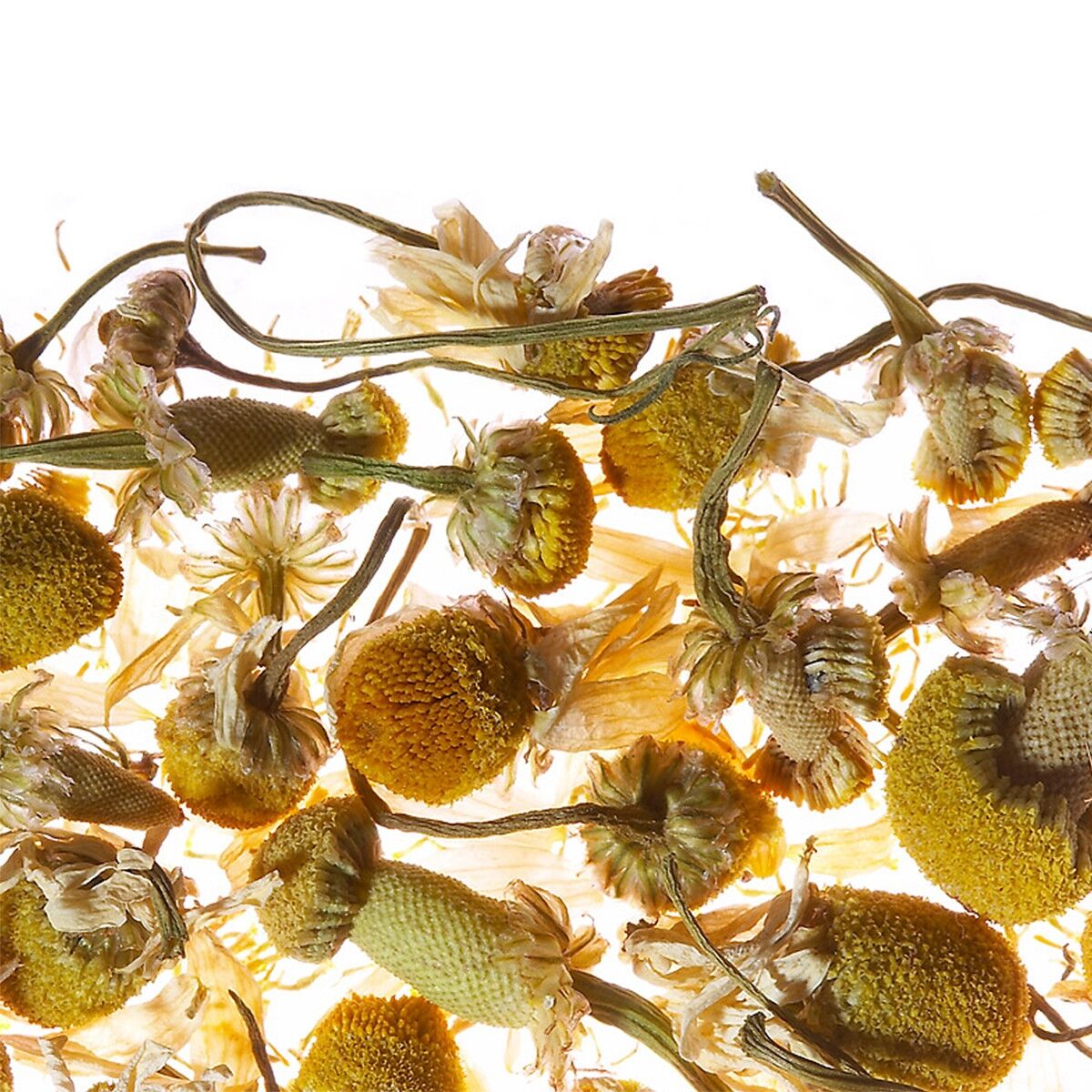 Чай трав'яний Althaus Chamomile Meadow 75 г